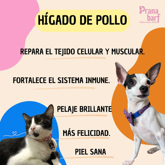 Snack para perros hígado de pollo deshidratado