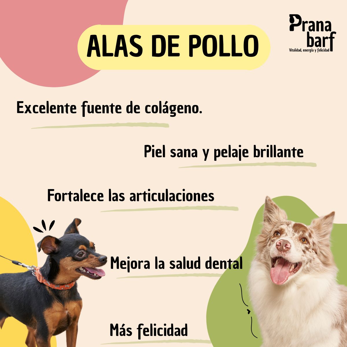 Snacks para perros alitas de pollo deshidratadas