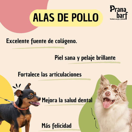 Snacks para perros alitas de pollo deshidratadas