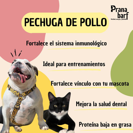 Snacks para gatos pechuga de pollo deshidratada