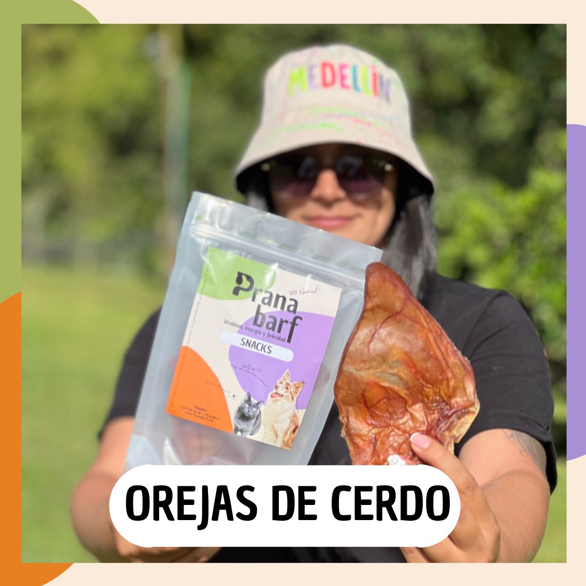 Snacks para perros orejas de cerdo deshidratadas