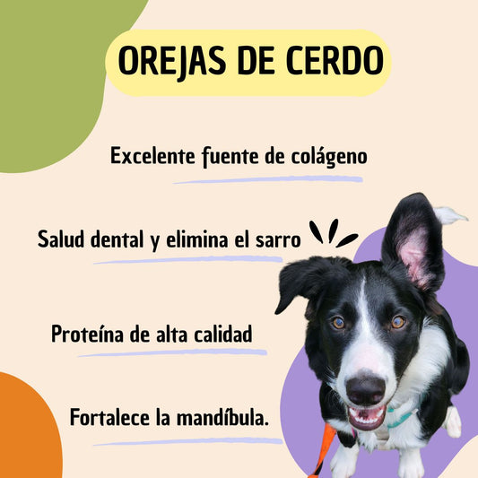 Snacks para perros orejas de cerdo deshidratadas