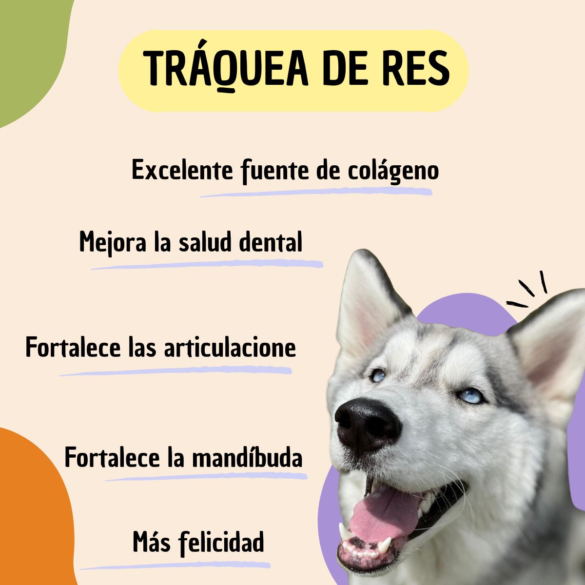Snacks para perros traquea de res deshidratada