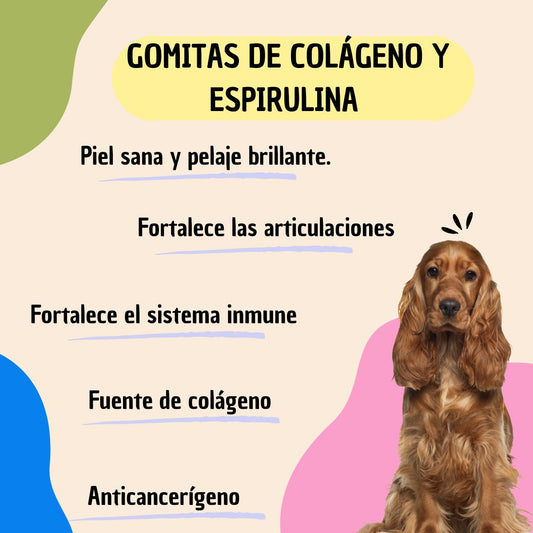 Sumplemento para perros gomitas de colágeno y spirulina