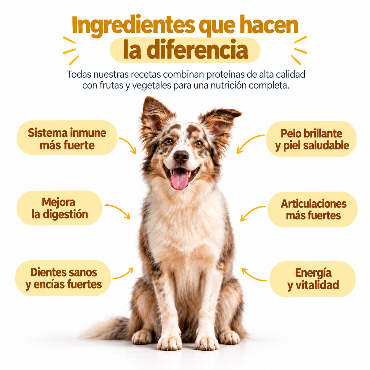 Pollo y Vegetales