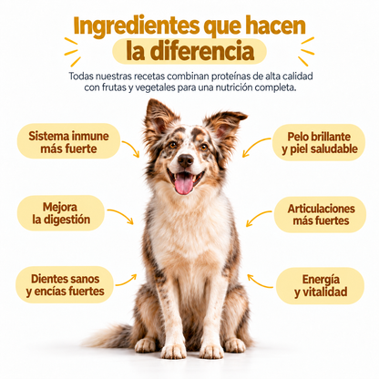 Pollo y Vegetales