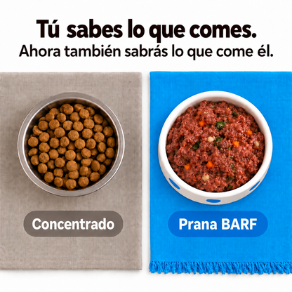 Pescado y Vegetales