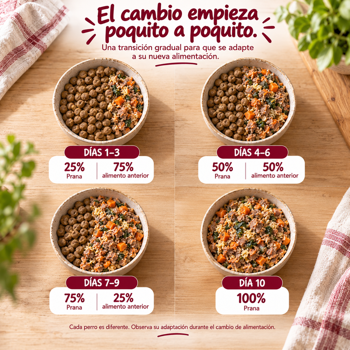 Prana Horneado – Receta Premium de Res