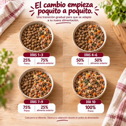 Prana Horneado – Receta Premium de Res