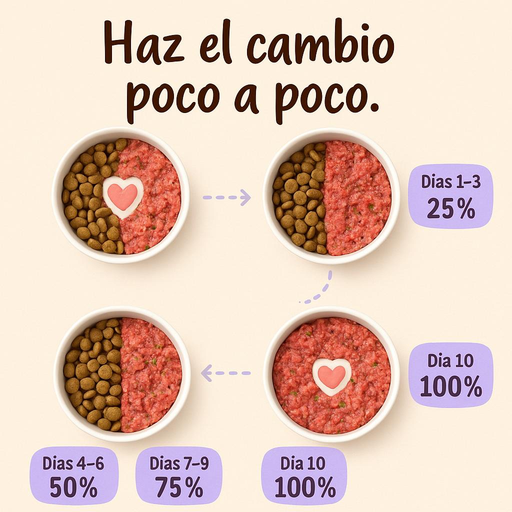 Cordero y Vegetales