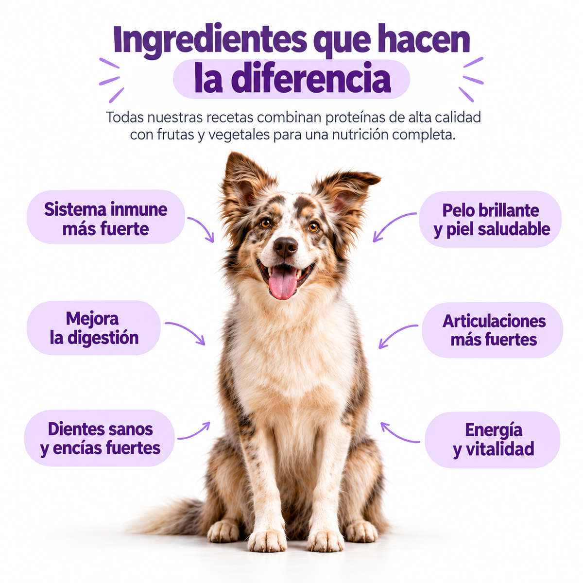Cordero y Vegetales