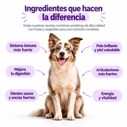 Cordero y Vegetales