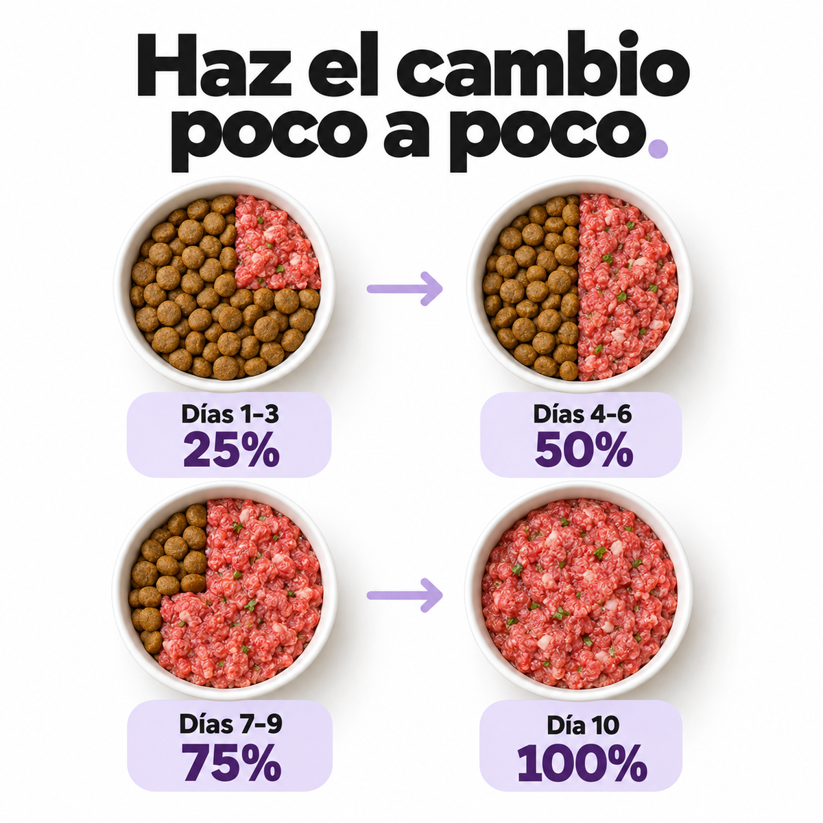 Cordero y Vegetales