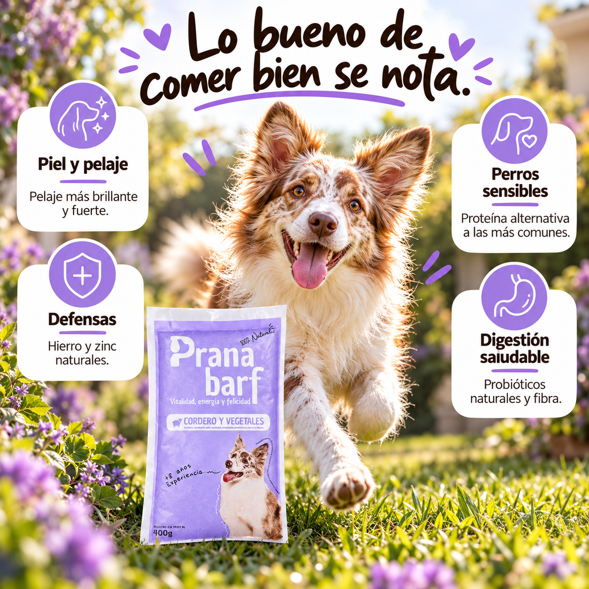 Cordero y Vegetales