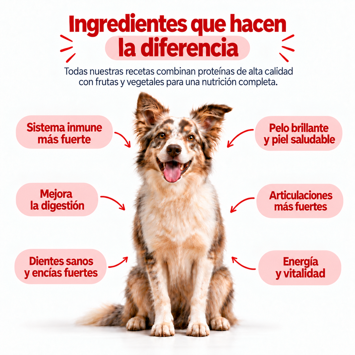 Res y Vegetales