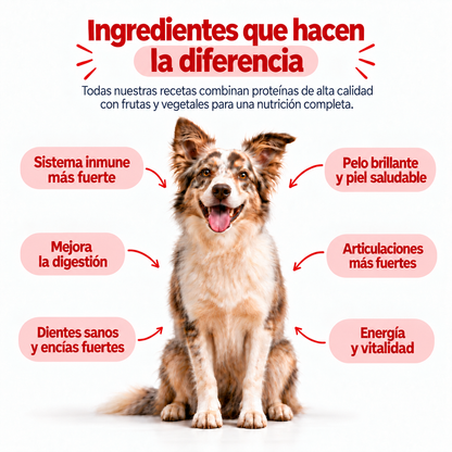 Res y Vegetales