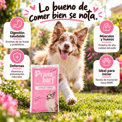 Pollo y Frutas